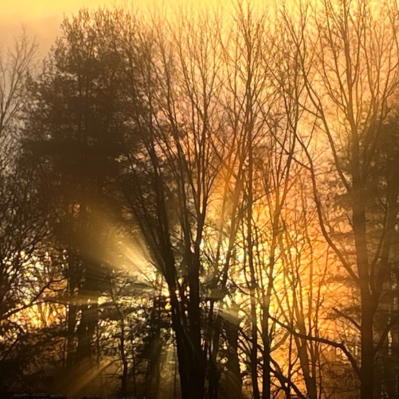 Meet your Posher, Jedidiah - Picture 1 of 1